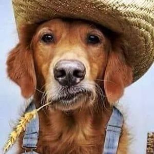 Meet your Posher, Michele